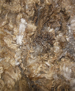 Fleece - Black Pearl