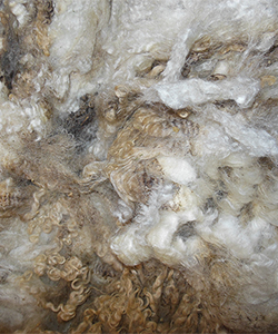 Fleece - Emily1606