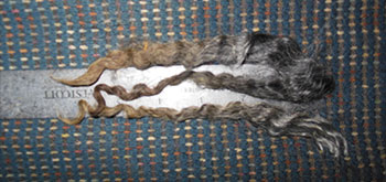 Fleece - Victoria