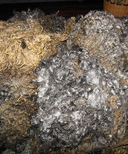 Fleece - Emily 1709