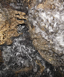 Fleece -1728