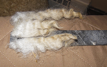 Fleeces