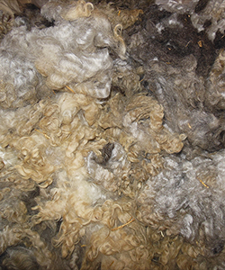 Fleeces