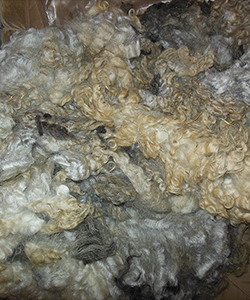 Fleeces