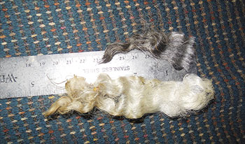 Fleece - Victoria