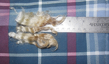 Wyncrest Fleece