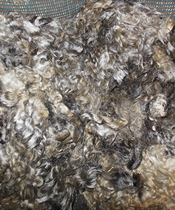 Wyncrest Fleeces