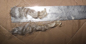 Fleece - Victoria