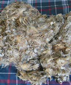 Wyncrest Fleeces