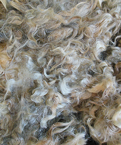 Wyncrest Fleeces