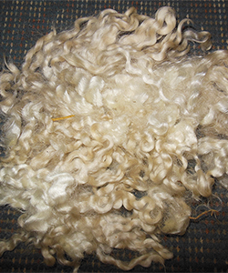 White Locks