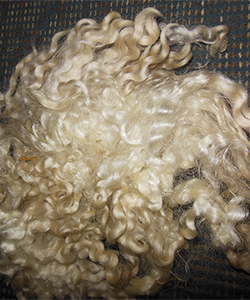 White Locks