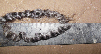 Fleece 1739