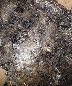 Fleece 16-48