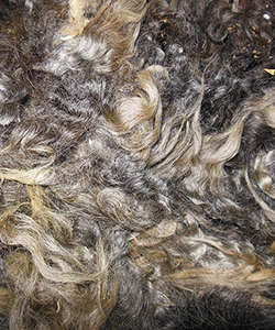 Wyncrest Fleeces