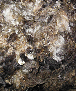 Wyncrest Fleeces