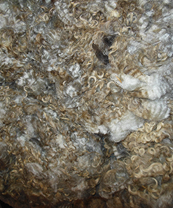 Wyncrest Fleeces