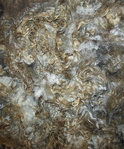 Wyncrest Fleeces