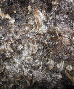 Wyncrest Fleeces