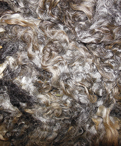 Wyncrest Fleeces