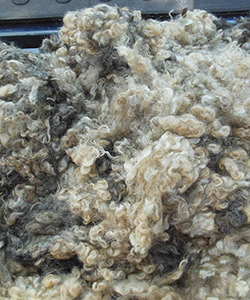 Wyncrest Fleeces