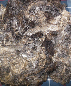 Wyncrest Fleeces