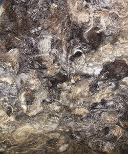 Wyncrest Fleeces