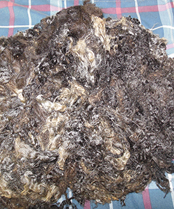Wyncrest Fleeces