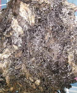 Wyncrest Fleeces