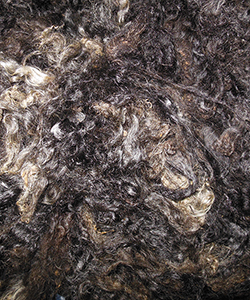 Wyncrest Fleeces