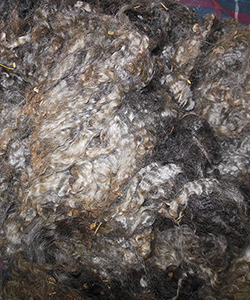 Wyncrest Fleeces