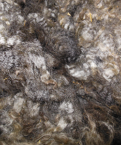 Wyncrest Fleeces