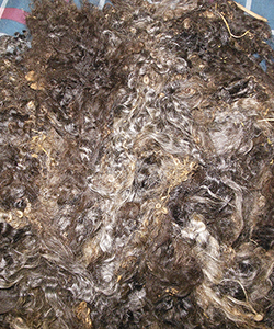 Wyncrest Fleeces
