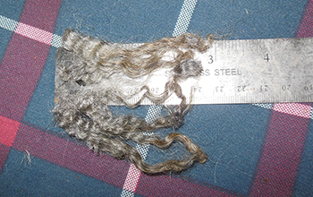 Wyncrest Fleeces