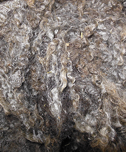 Wyncrest Fleeces