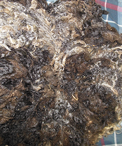 Wyncrest Fleeces