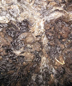 Wyncrest Fleeces