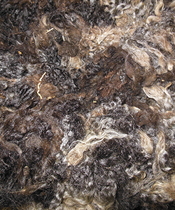 Wyncrest Fleeces