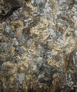 Wyncrest Fleeces
