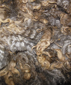 Wyncrest Fleeces