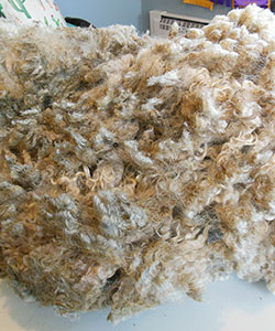 Wyncrest Fleeces