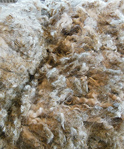 Wyncrest Fleeces