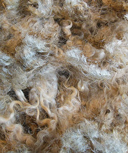 Wyncrest Fleeces