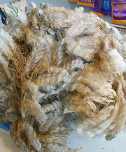 Wyncrest Fleeces