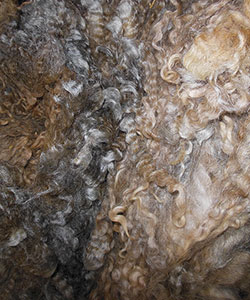 Wyncrest Fleeces