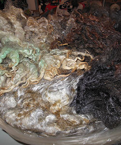 Wyncrest Fleeces