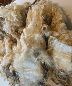 Wyncrest Fleeces