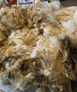 Wyncrest Fleeces