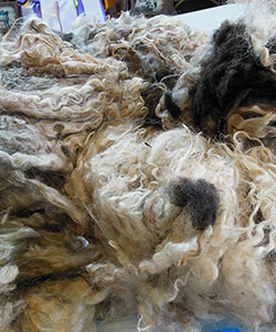 Wyncrest Fleeces