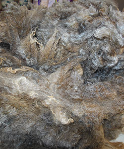 Wyncrest Fleeces